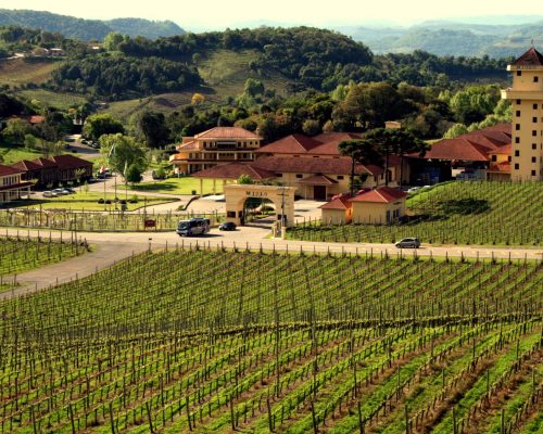 City Hotel em Caxias do Sul - RS - A Melhor Tarifa